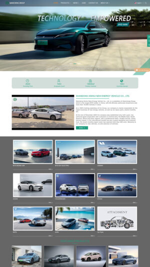 信汇新能源车业（比亚迪）